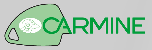 logo-carmine-582x194px
